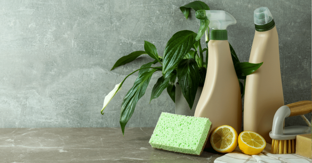 Eco-friendly housekeeping tips
